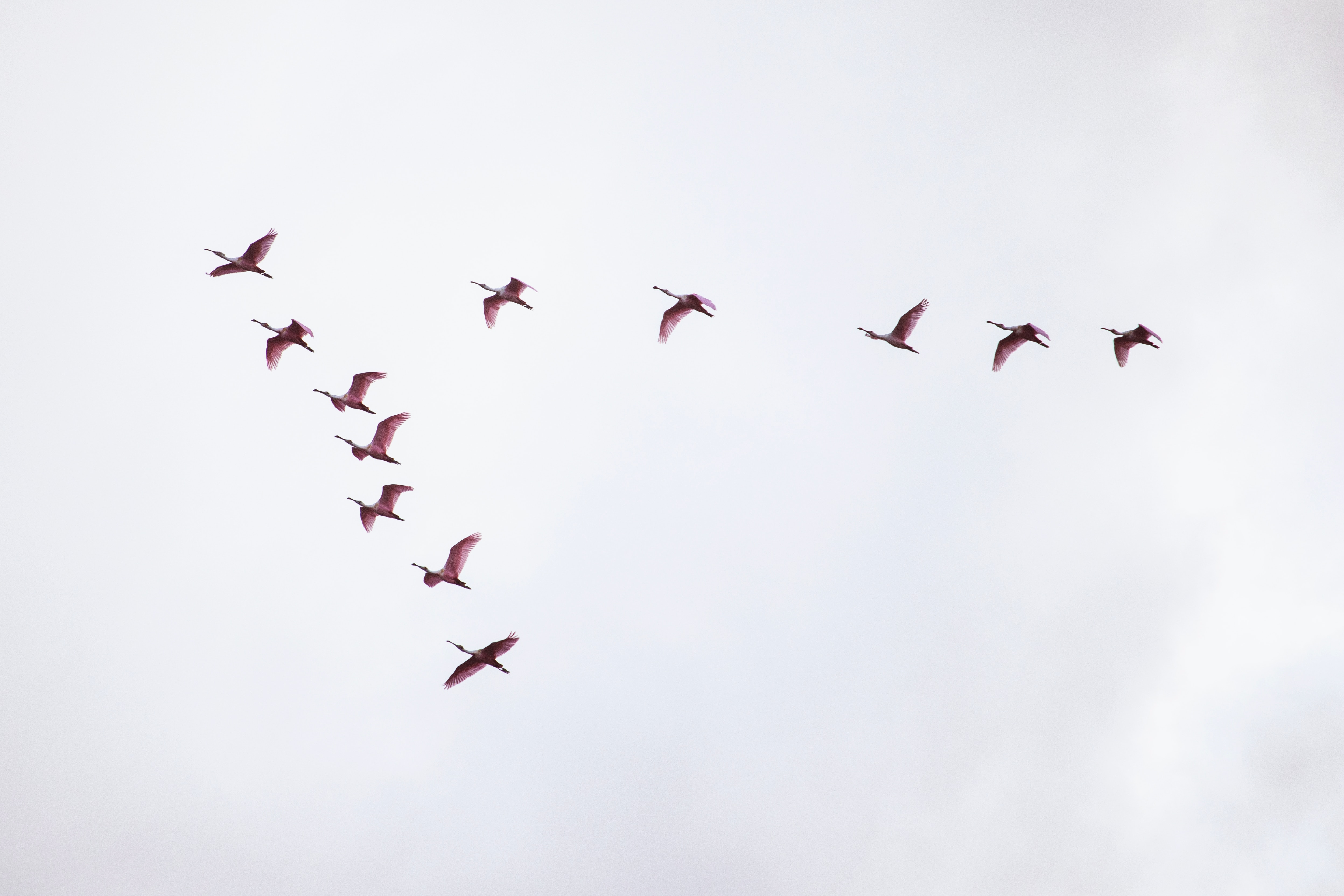 Redis Migration